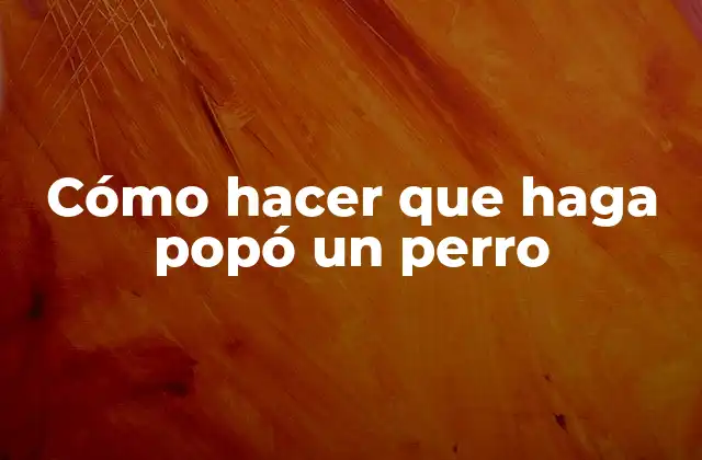 Cómo Hacer que Haga Popó un Perro