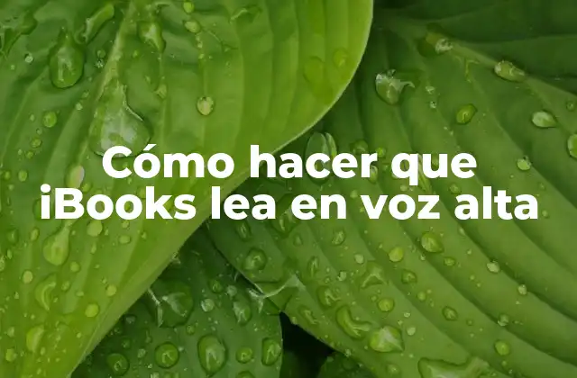 Cómo Hacer que Ibooks Lea en Voz Alta