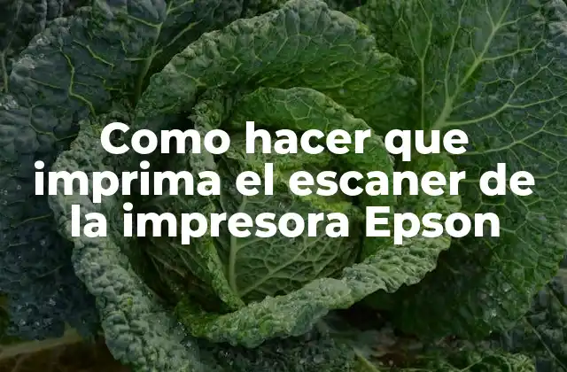 Como Hacer que Imprima el Escaner de la Impresora Epson