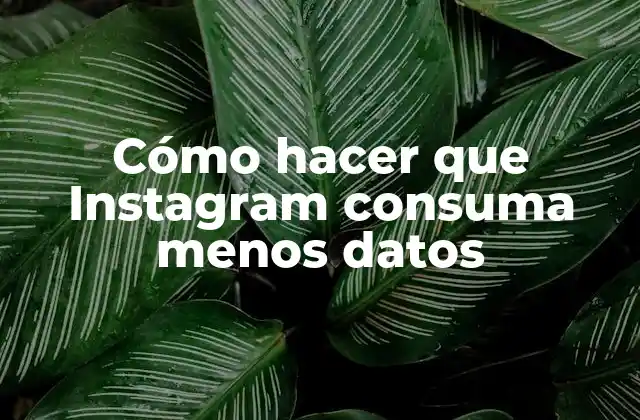 Cómo Hacer que Instagram Consuma Menos Datos 2 ¿Qué es el consumo de datos en Instagram?