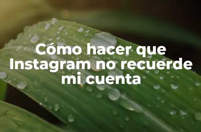 ¿Qué es la memoria de inicio de sesión de Instagram?