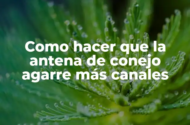 Como Hacer que la Antena de Conejo Agarre Más Canales