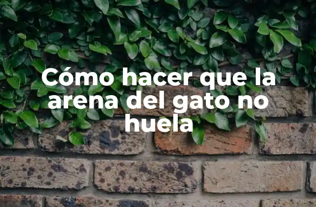 Cómo Hacer que la Arena Del Gato No Huela
