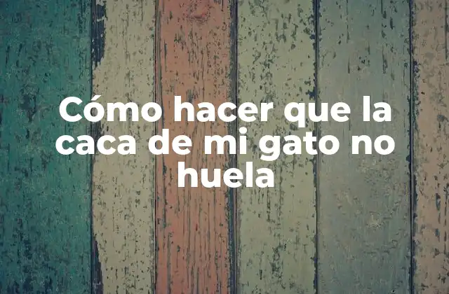 Cómo Hacer que la Caca de Mi Gato No Huela 2 Cómo hacer que la caca de mi gato no huela