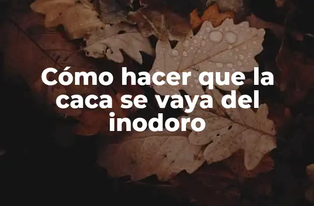 Cómo Hacer que la Caca Se Vaya Del Inodoro 2 Cómo hacer que la caca se vaya del inodoro