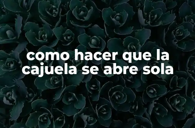 Como Hacer que la Cajuela Se Abre Sola