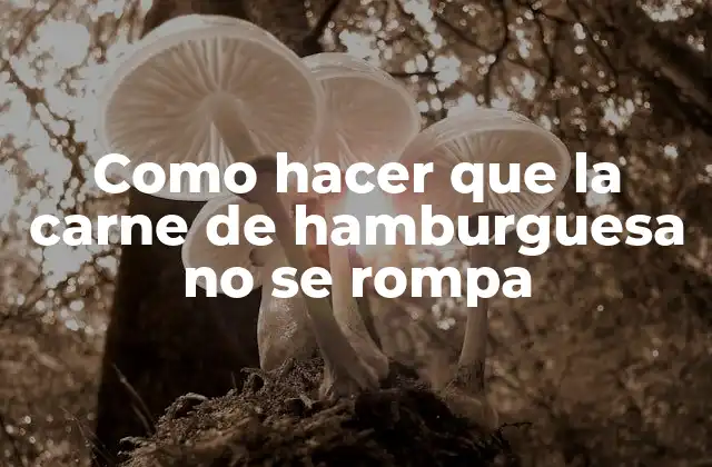 Como Hacer que la Carne de Hamburguesa No Se Rompa