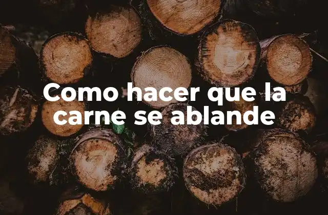 Como Hacer que la Carne Se Ablande 2 Ablandar la carne: técnicas y métodos