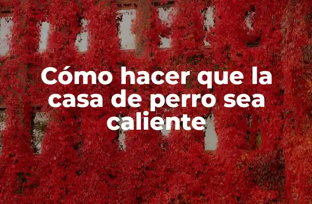 La importancia de mantener caliente la casa de tu perro
