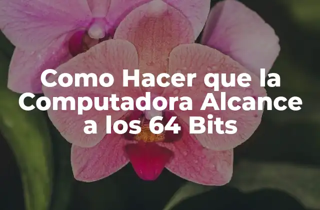 Como Hacer que la Computadora Alcance a los 64 Bits
