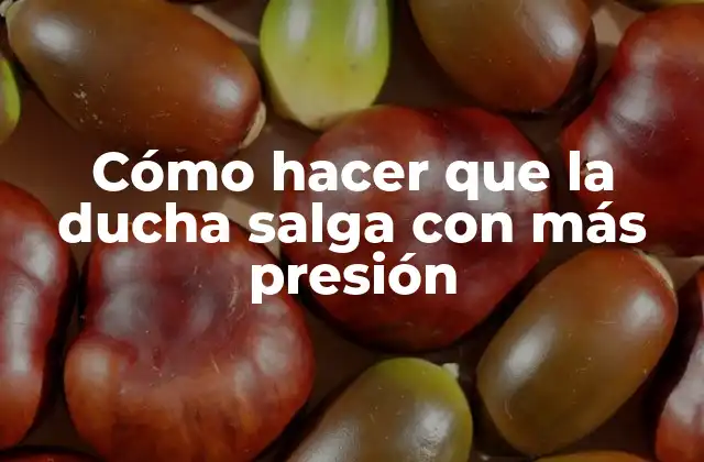 Cómo Hacer que la Ducha Salga con Más Presión