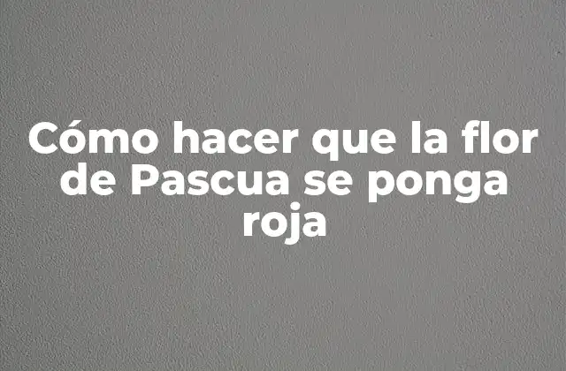 Cómo Hacer que la Flor de Pascua Se Ponga Roja