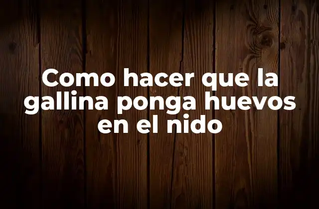 Como Hacer que la Gallina Ponga Huevos en el Nido