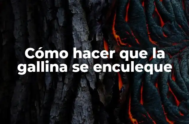 Cómo Hacer que la Gallina Se Enculeque 2 Cómo hacer que la gallina se enculeque