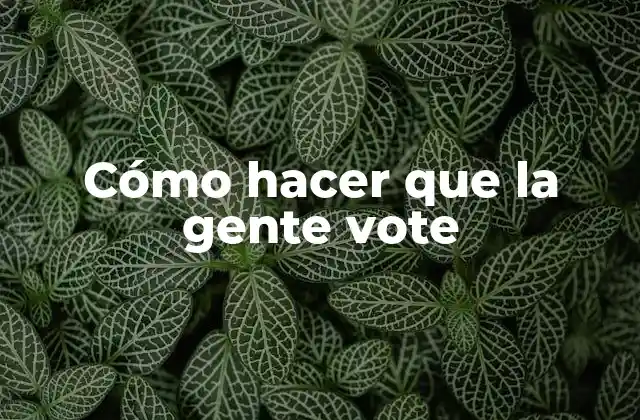 Cómo Hacer que la Gente Vote 2 Cómo hacer que la gente vote