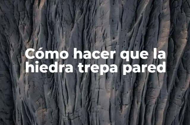 Cómo Hacer que la Hiedra Trepa Pared 2 Cómo hacer que la hiedra trepa pared