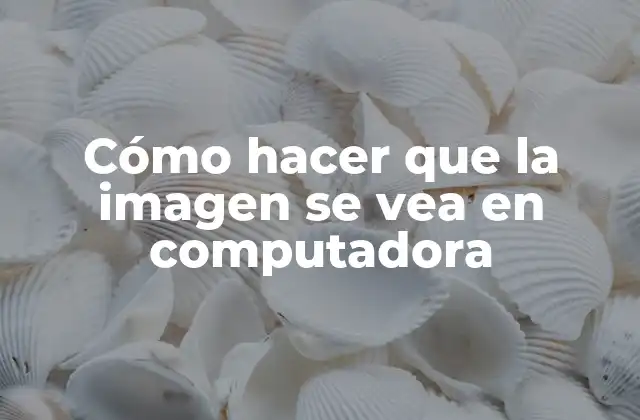 Cómo Hacer que la Imagen Se Vea en Computadora