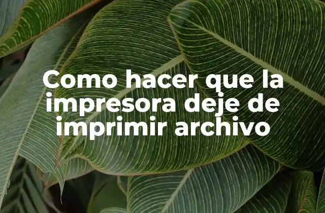 Como Hacer que la Impresora Deje de Imprimir Archivo