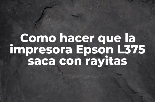 Como Hacer que la Impresora Epson L375 Saca con Rayitas