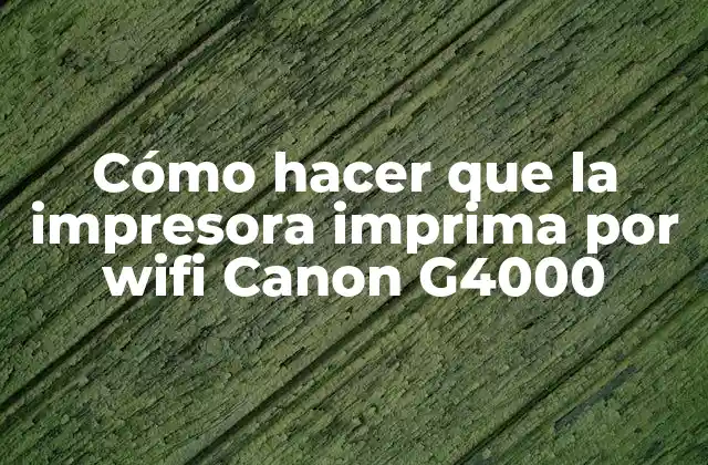 Cómo Hacer que la Impresora Imprima por Wifi Canon G4000