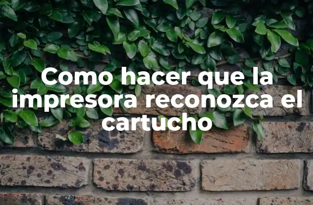 Como Hacer que la Impresora Reconozca el Cartucho