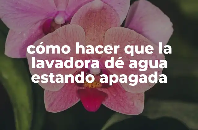 Cómo Hacer que la Lavadora Dé Agua Estando Apagada