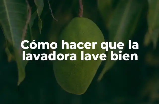 Cómo Hacer que la Lavadora Lave Bien 2 Cómo hacer que la lavadora lave bien