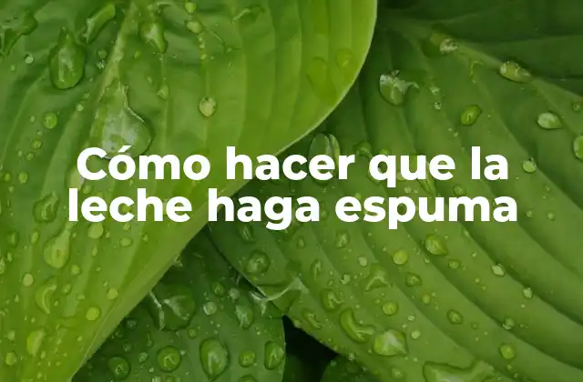 Cómo Hacer que la Leche Haga Espuma