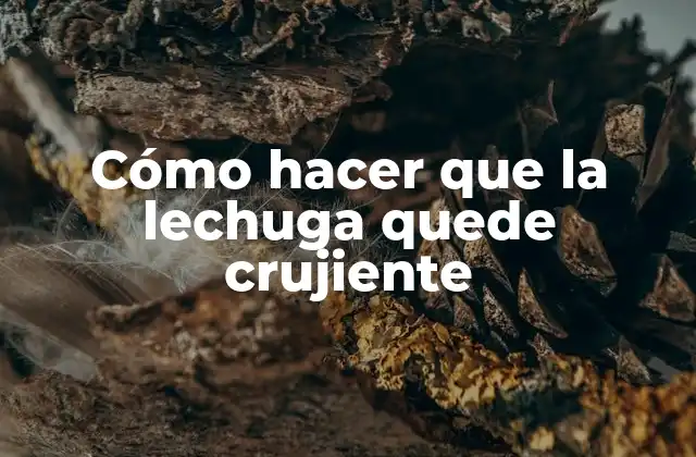 Cómo Hacer que la Lechuga Quede Crujiente