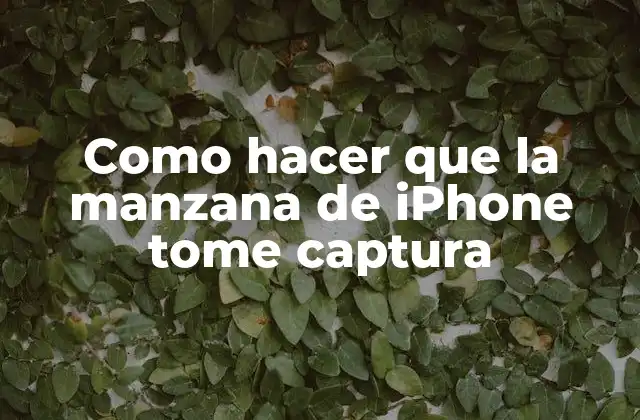Como Hacer que la Manzana de Iphone Tome Captura