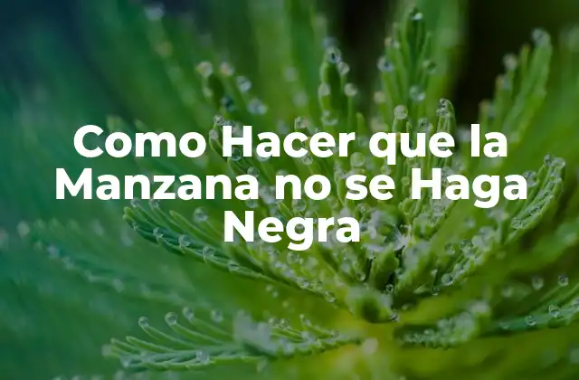 Como Hacer que la Manzana No Se Haga Negra