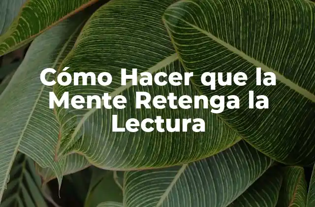 Cómo Hacer que la Mente Retenga la Lectura
