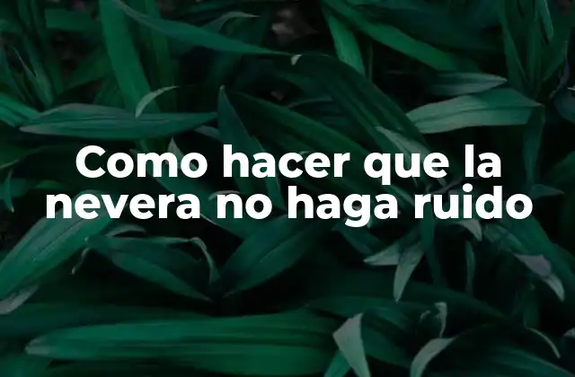 Como Hacer que la Nevera No Haga Ruido