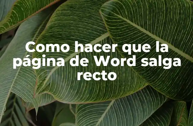 Como Hacer que la Página de Word Salga Recto