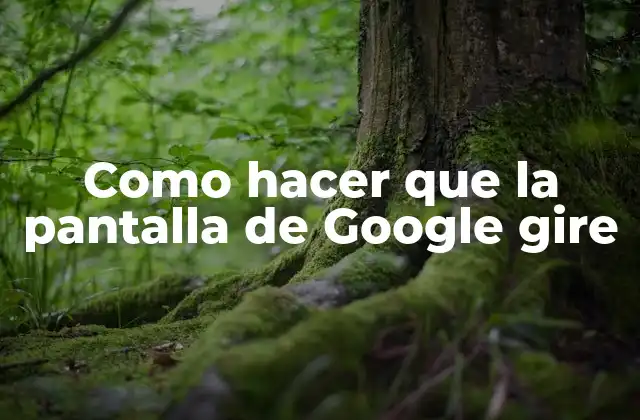 ¿Qué es la pantalla de Google y para qué sirve?