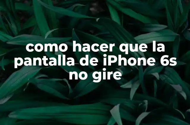 Como Hacer que la Pantalla de Iphone 6s No Gire 2 ¿Qué es la rotación de pantalla en iPhone 6s y cómo funciona?