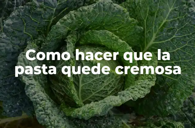 Como Hacer que la Pasta Quede Cremosa