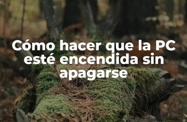 Cómo Hacer que la Pc Esté Encendida sin Apagarse
