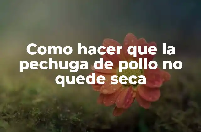 Como Hacer que la Pechuga de Pollo No Quede Seca 2 ¿Qué es la pechuga de pollo seca y cómo se produce?