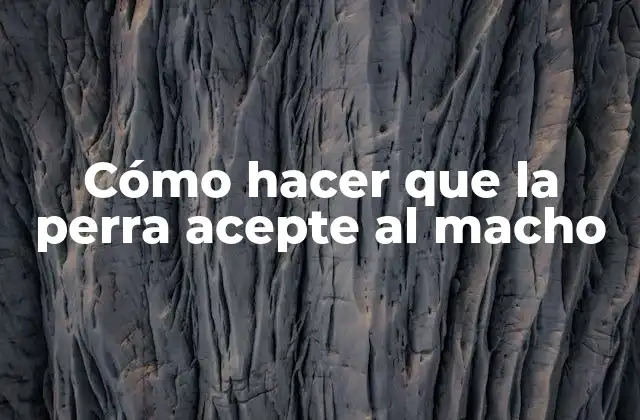 Cómo hacer que la perra acepte al macho