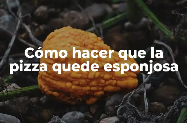 Cómo Hacer que la Pizza Quede Esponjosa