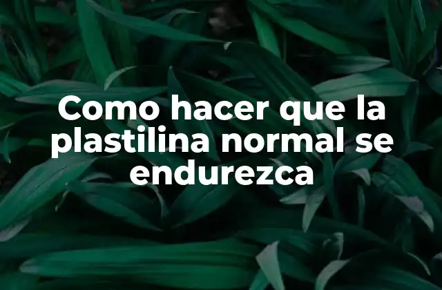 Como Hacer que la Plastilina Normal Se Endurezca