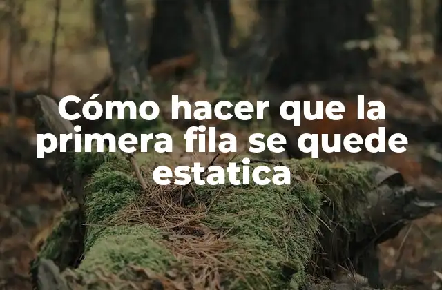 Cómo Hacer que la Primera Fila Se Quede Estatica