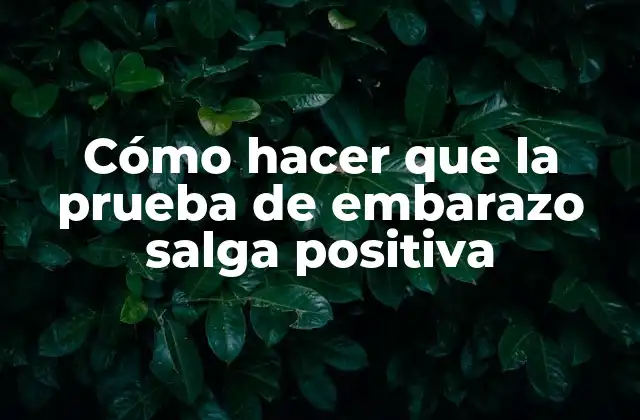 Cómo Hacer que la Prueba de Embarazo Salga Positiva 2 Cómo hacer que la prueba de embarazo salga positiva