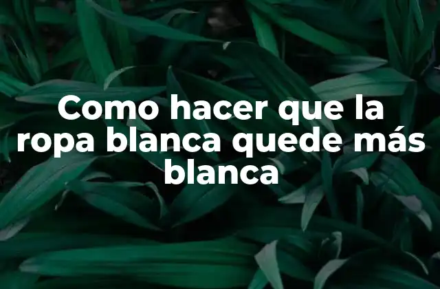 Como Hacer que la Ropa Blanca Quede Más Blanca
