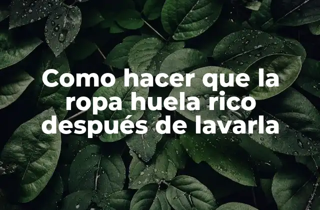 Como Hacer que la Ropa Huela Rico Después de Lavarla