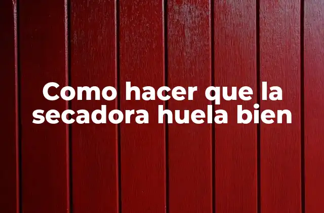 Como Hacer que la Secadora Huela Bien