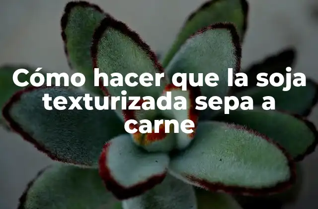 Cómo Hacer que la Soja Texturizada Sepa a Carne