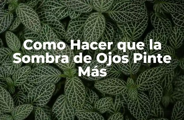 Como Hacer que la Sombra de Ojos Pinte Más 2 Sombra de Ojos: ¿Qué es y para qué Sirve?