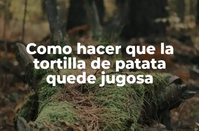 Como Hacer que la Tortilla de Patata Quede Jugosa